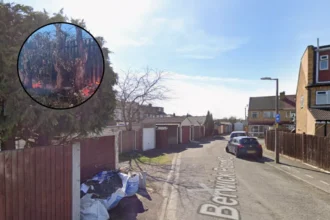 Havering Wildfires: Arson Investigations and Habitat Loss in Rainham 2026