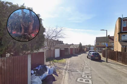 Havering Wildfires: Arson Investigations and Habitat Loss in Rainham 2026