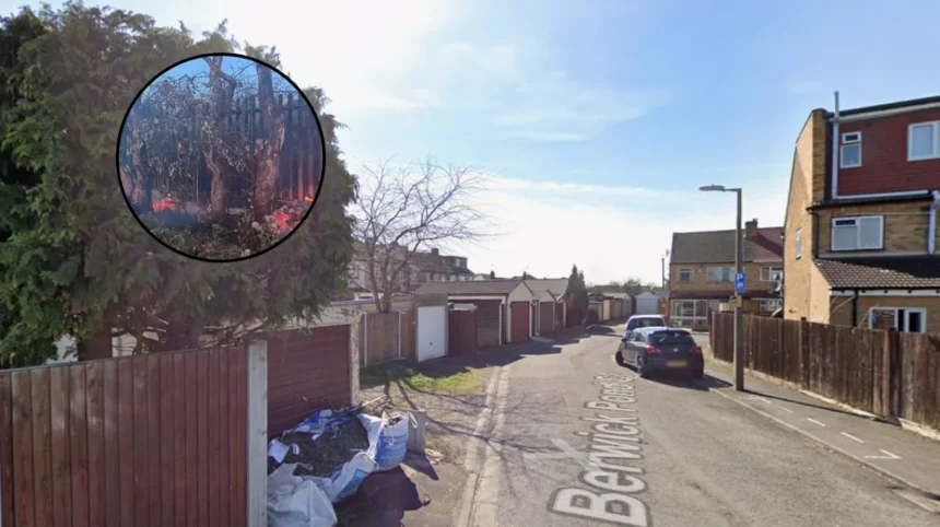 Havering Wildfires: Arson Investigations and Habitat Loss in Rainham 2026