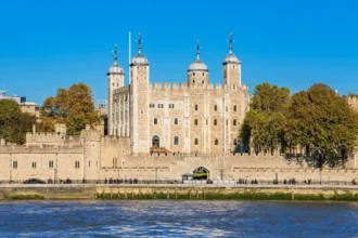Best Experiences in Tower Hamlets Attractions, Markets & Culture