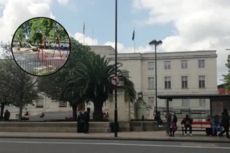 Hackney Council Launches Major Upgrade Consultations Across Three Parks, London 2026