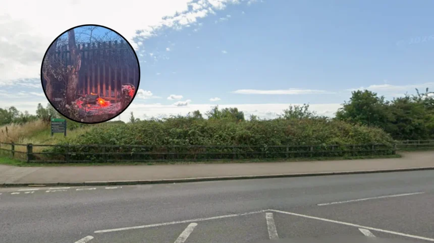 Havering Grass Fires Destroy 126 Hectares Across Borough in 2026