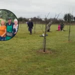 Rainham Orchard Blooms Thanks to Volunteers Amid Heat, Rainham 2026