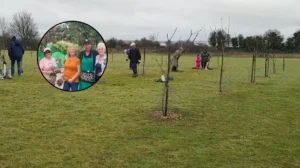 Rainham Orchard Blooms Thanks to Volunteers Amid Heat, Rainham 2026