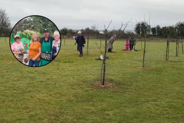 Rainham Orchard Blooms Thanks to Volunteers Amid Heat, Rainham 2026