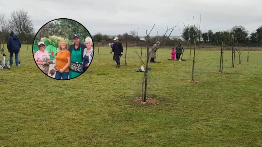 Rainham Orchard Blooms Thanks to Volunteers Amid Heat, Rainham 2026