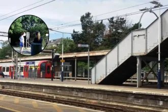 Brickfields Level Crossing Closed After Children Play Chicken Trains Upminster 2026
