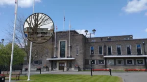Harold Wood Library To Reopen Under Community Model Havering 2026