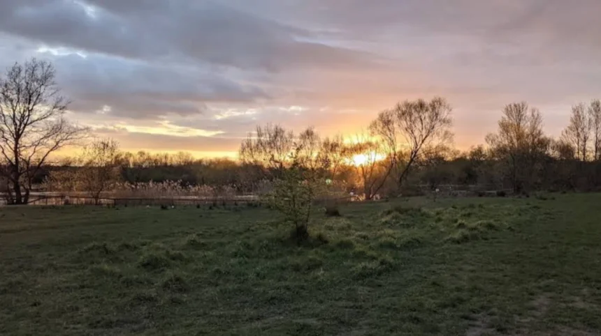 Havering Parks Named Best in Capital at London in Bloom 2026