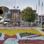 Havering Taxpayers Foot Bill as Fly-Tipping Rises: Havering 2024/25