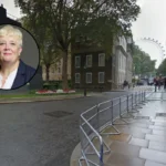 Margaret Mullane Submits Downing Street Wildfire Proposals Dagenham 2026
