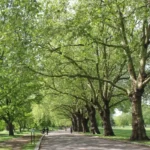 Tower Hamlets Leisure Guide Parks, Walks & Markets