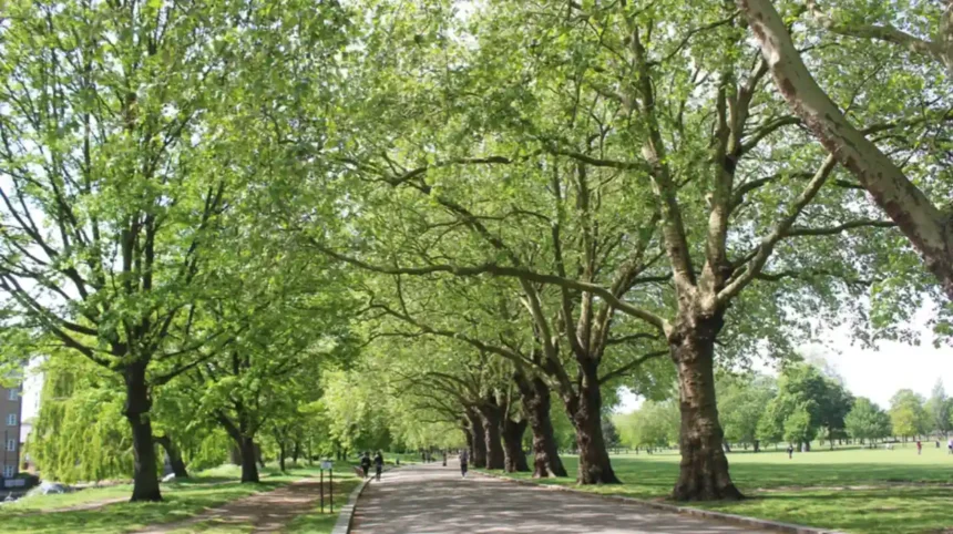 Tower Hamlets Leisure Guide Parks, Walks & Markets