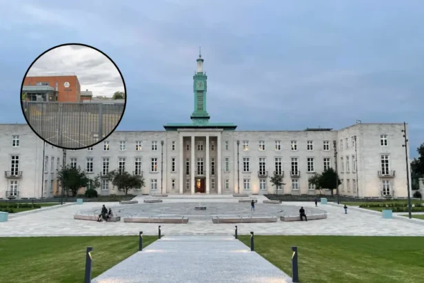 Whitefield School Abuse Action Plan Published: Walthamstow 2026
